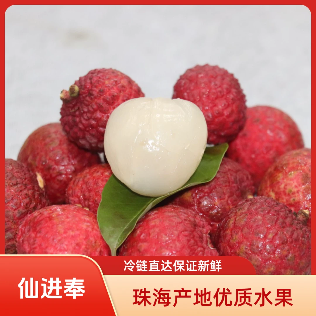 广东省外【冷链直达】老树仙进奉荔枝新鲜水果礼盒高端当季多汁水果