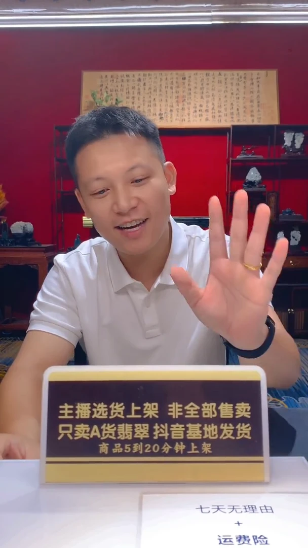 颈饰未镶嵌翡翠闪购翡翠链接HWA006