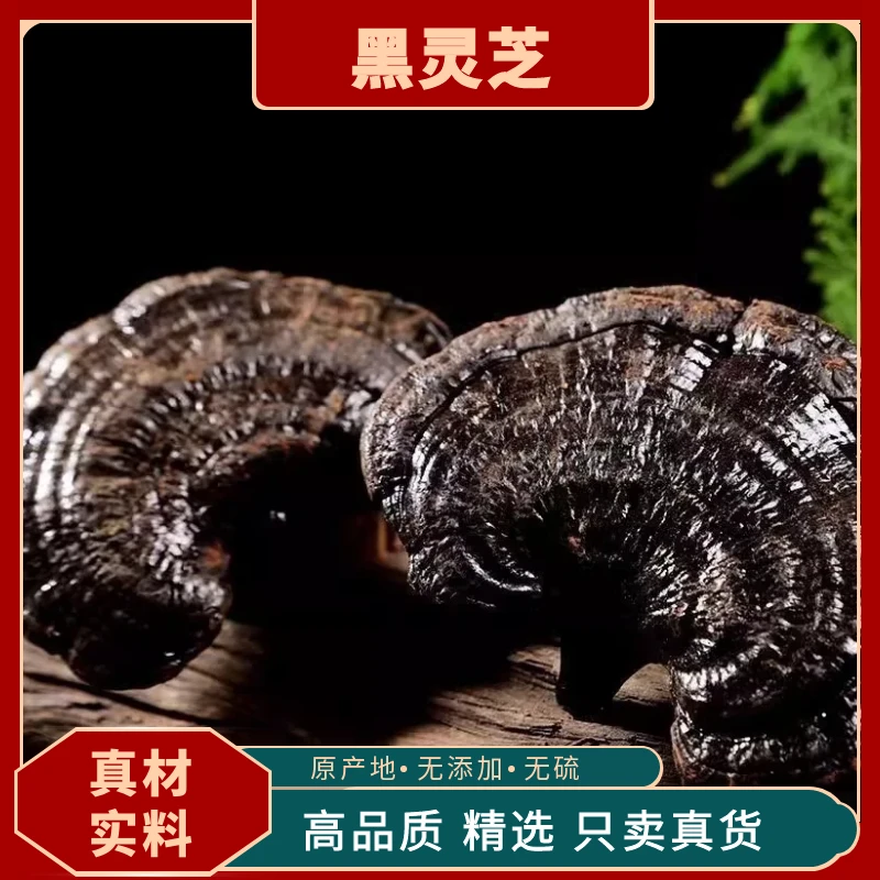 天然黑灵芝干货中药材红紫灵芝片整枝灵芝野灵芝泡酒泡水灵芝茶