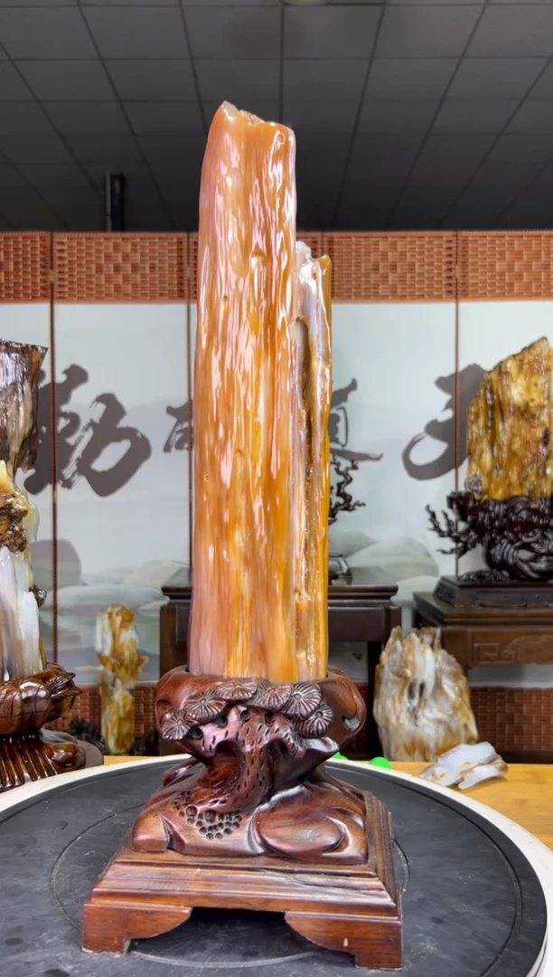 未镶嵌珠宝奇石硅化玉8