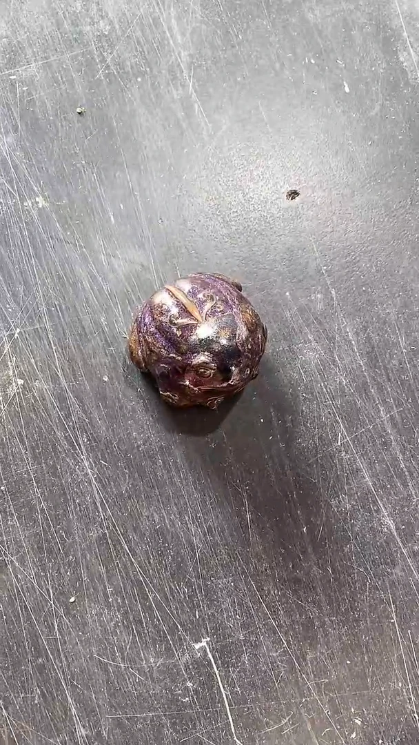 瓷片陶瓷茶具茶器