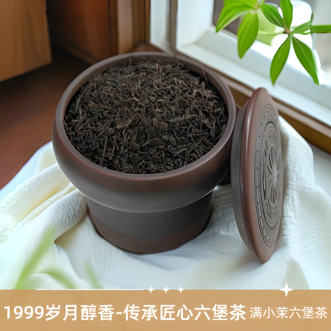 满小茉 1999岁月醇香-传承匠心六堡茶