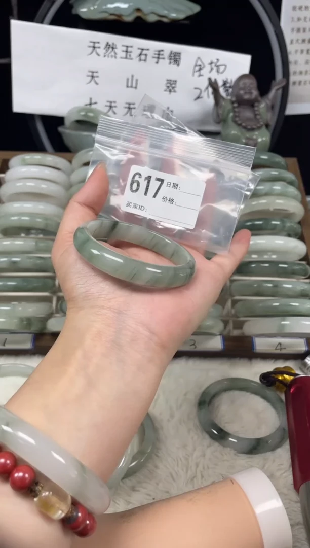 未镶嵌手镯石英质玉（天山翠）617