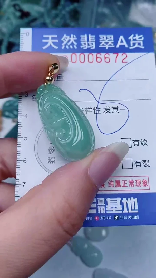 翡翠未镶嵌颈饰00006672