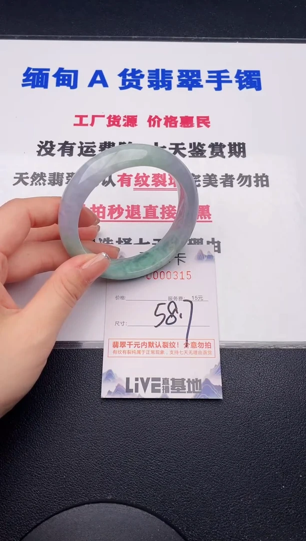 未镶嵌手镯翡翠15