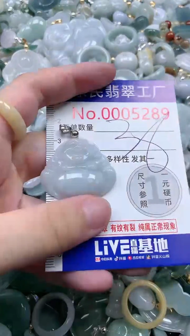 翡翠未镶嵌吊坠(不含链)5289