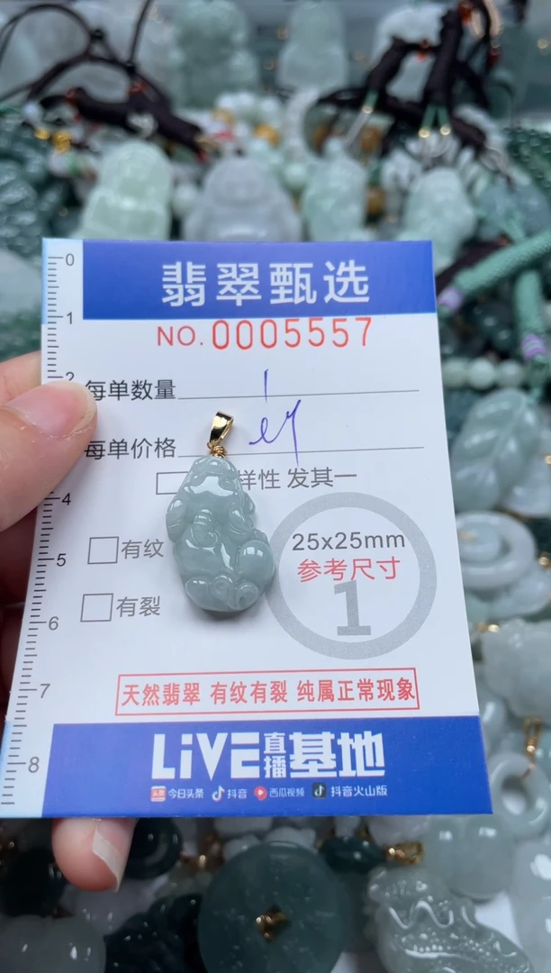 【闪购商品】翡翠颈饰未镶嵌00..5557