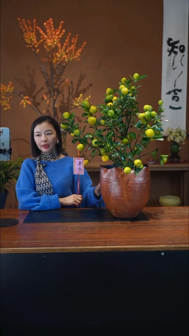 全部花朵金蛋金橘手工盆盆景盆景