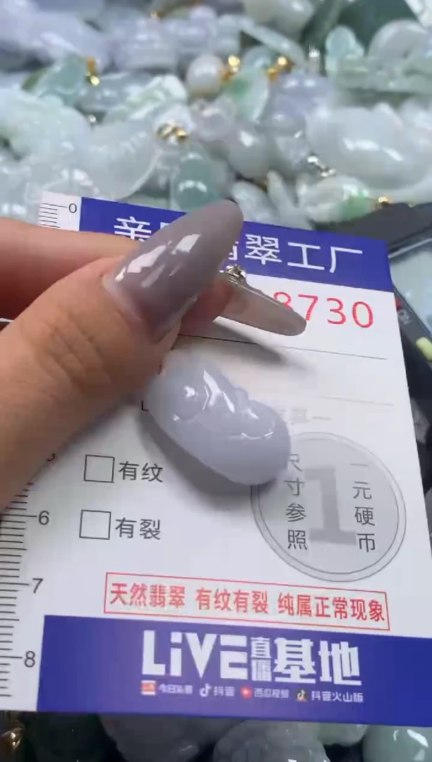颈饰未镶嵌翡翠8730