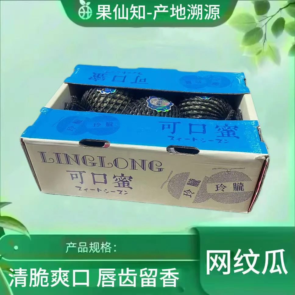【网纹瓜-特级果-礼盒-5颗/箱】海南省