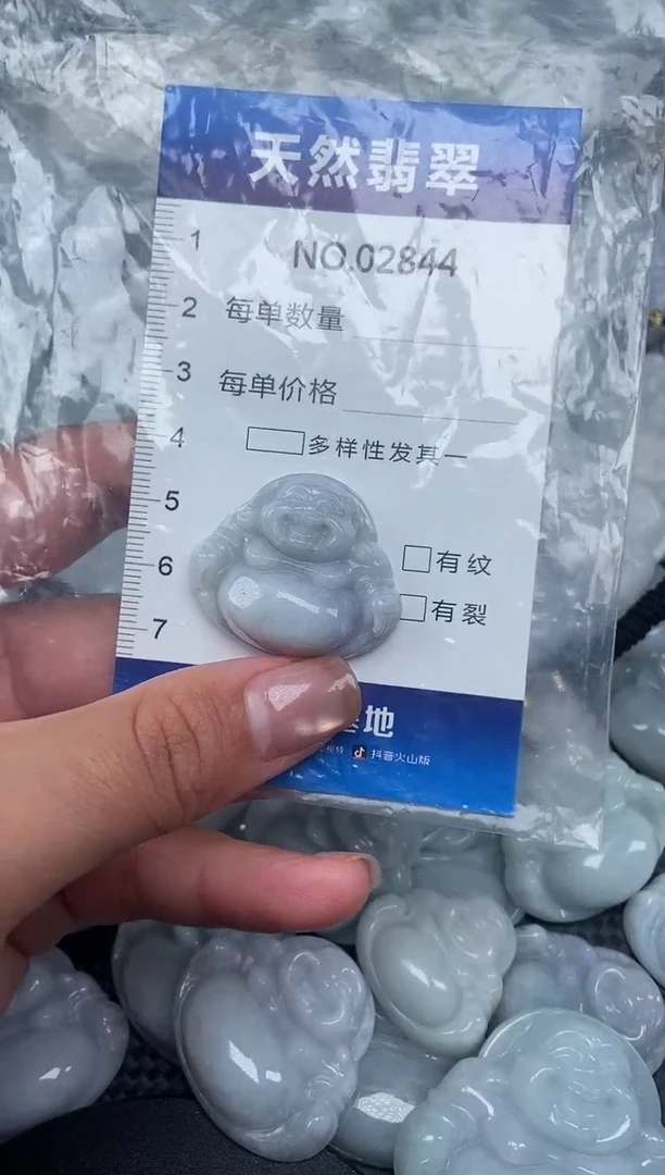 颈饰未镶嵌翡翠纯天然A货翡翠2844