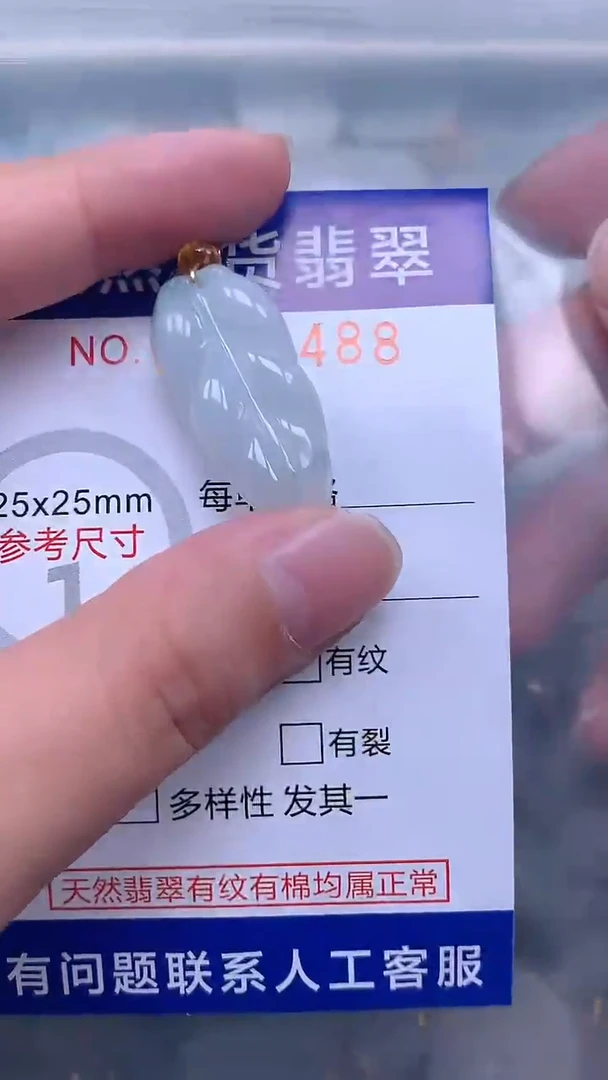 翡翠未镶嵌吊坠(不含链)1