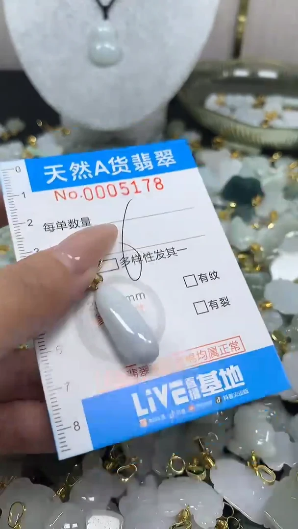 翡翠未镶嵌颈饰净货挂件-5178