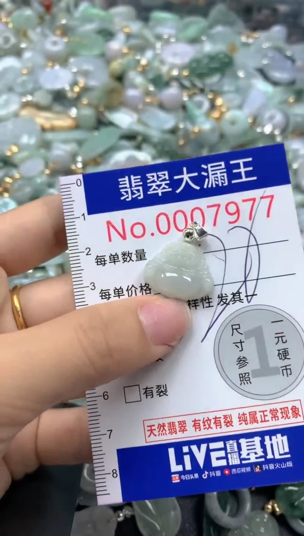 翡翠未镶嵌吊坠(不含链)7977