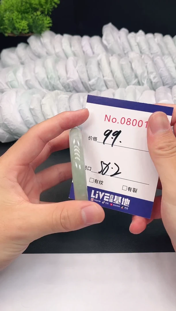 未镶嵌手镯翡翠8001
