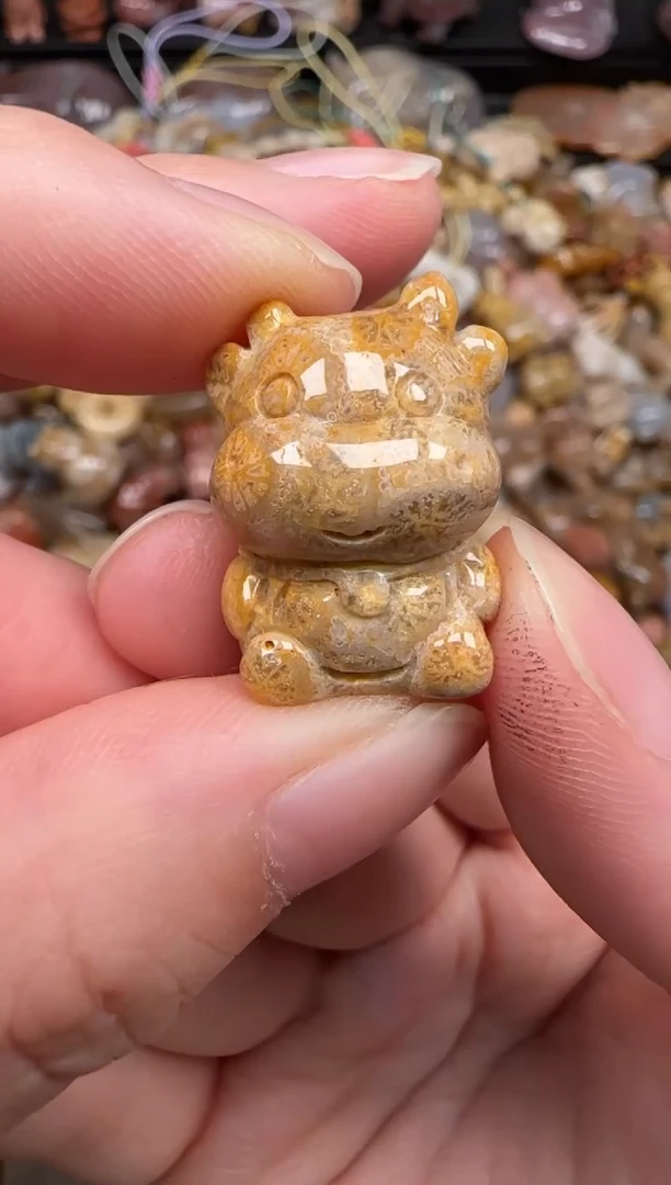 硅化珊瑚（珊瑚玉）未镶嵌颈饰478