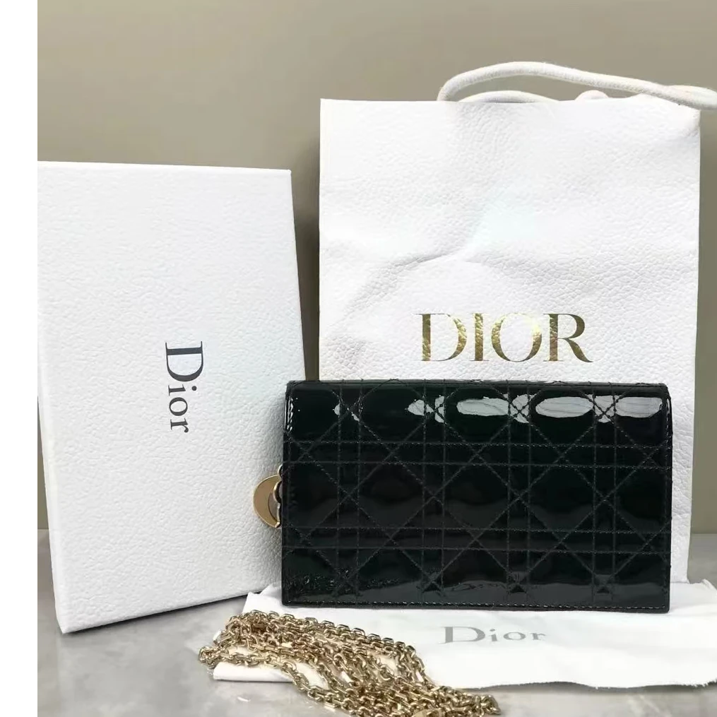 95新 DIOR/迪奥 胖虎佳佳/箱包/斜挎包/31B2506250129