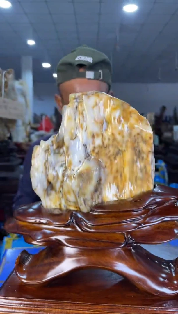 未镶嵌摆件硅化玉23