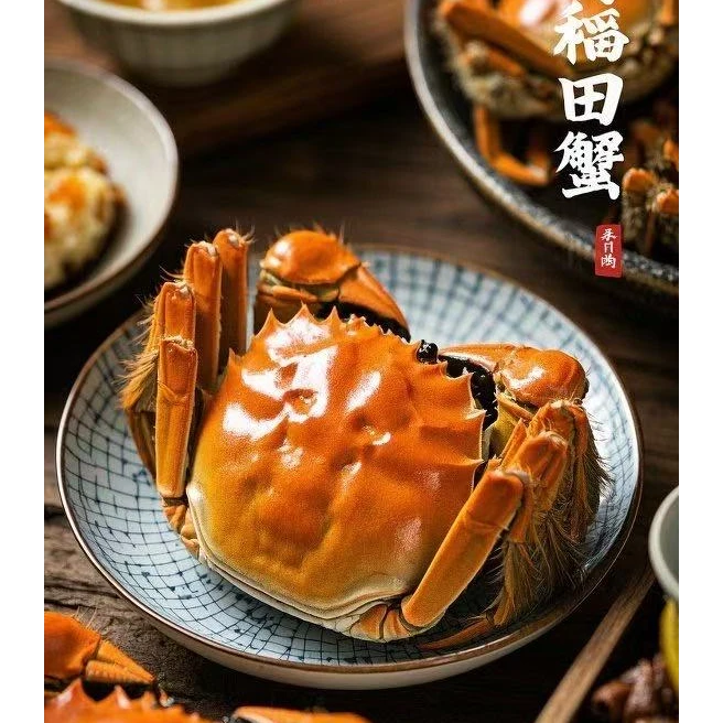 【盘锦河蟹】【母蟹】【活蟹】1.4两-1.6两 12只-15只