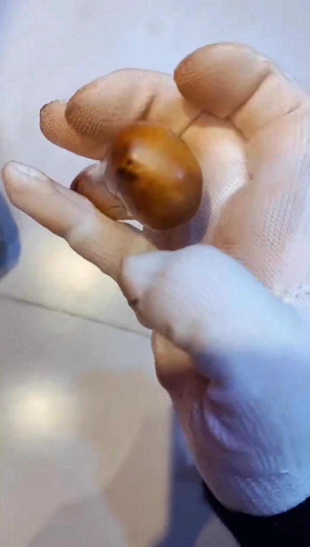 柏木（崖柏）11太行崖柏陈化手把手串