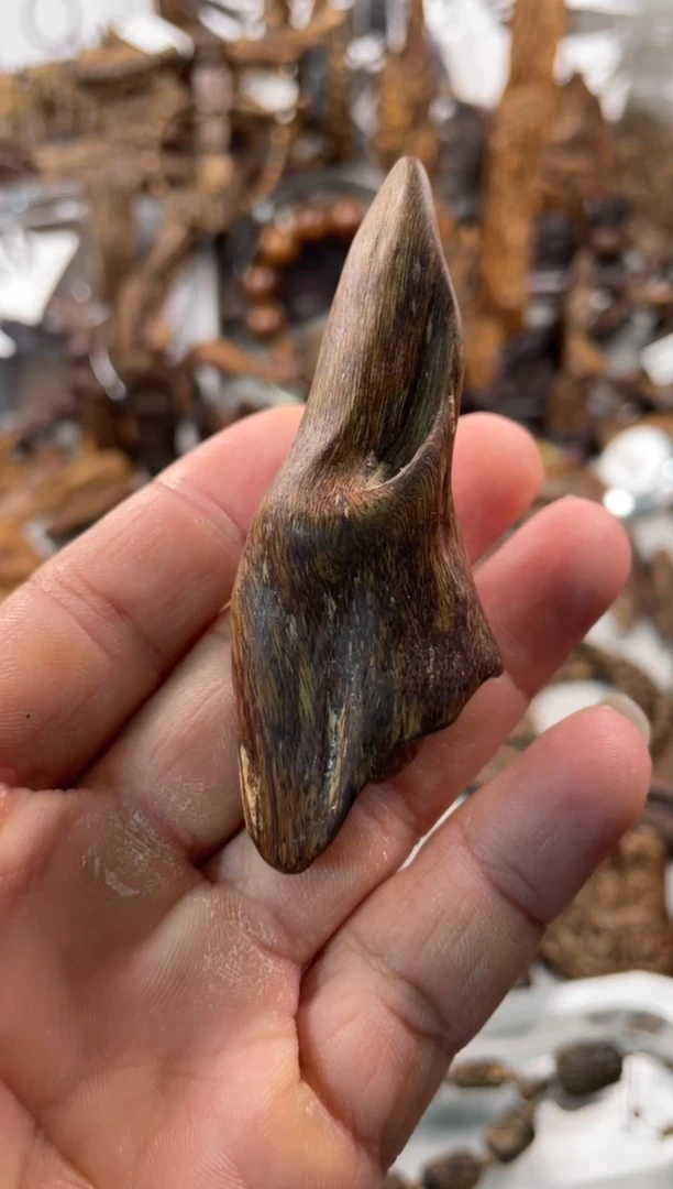 沉香沉香碎屑沉香  惠安12.8克沉水