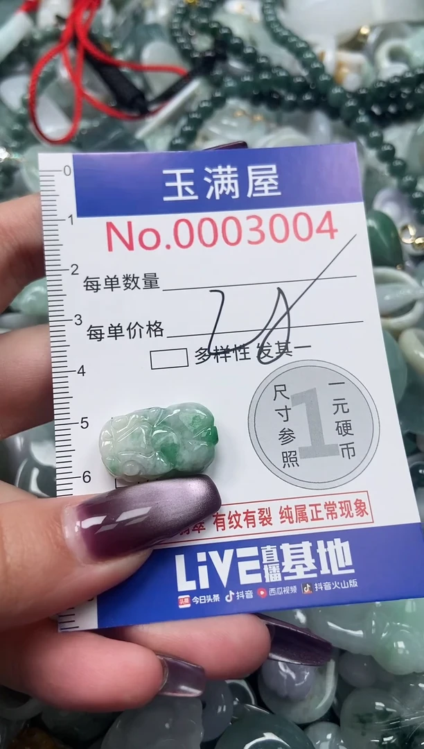 颈饰未镶嵌翡翠3004