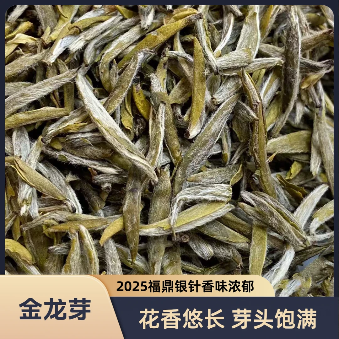 茉莉金龙芽 25头采福建白毫银针 花香浓郁鲜爽醇甜