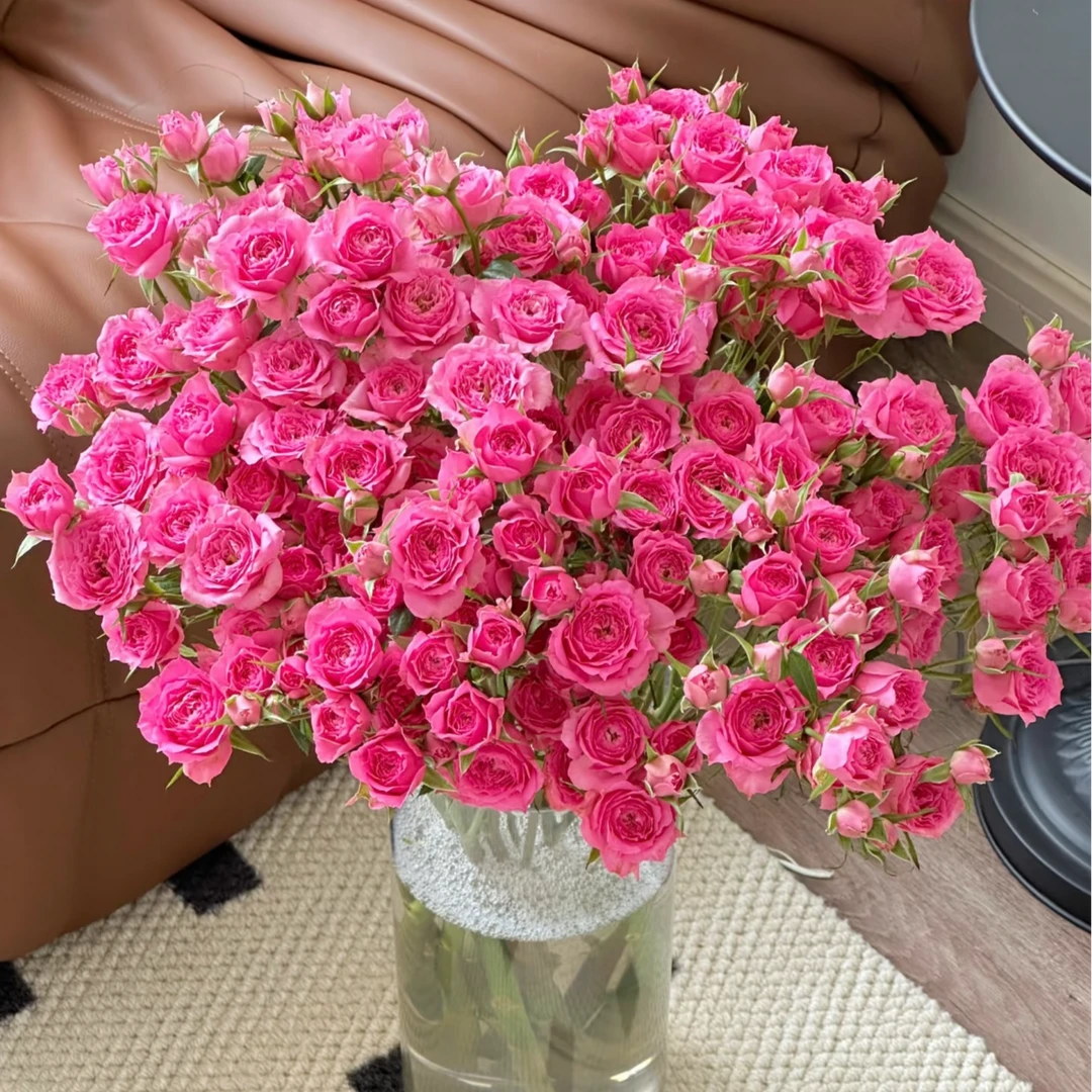 【苏菲宝贝】 全场鲜花任意两单及以上包邮