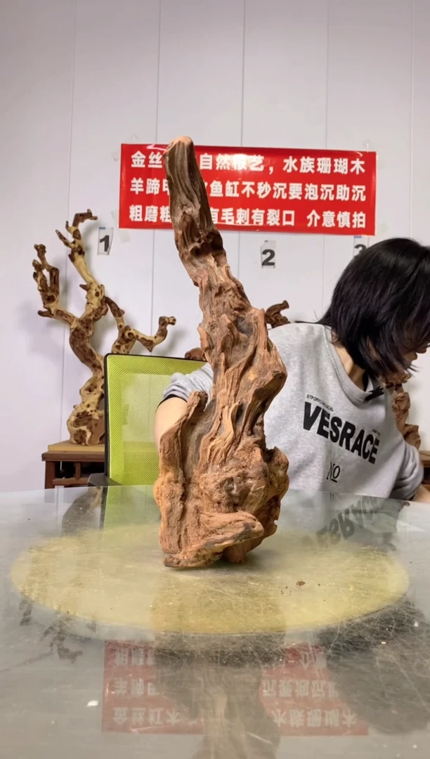 【闪购商品】木20金丝红木 羊蹄甲