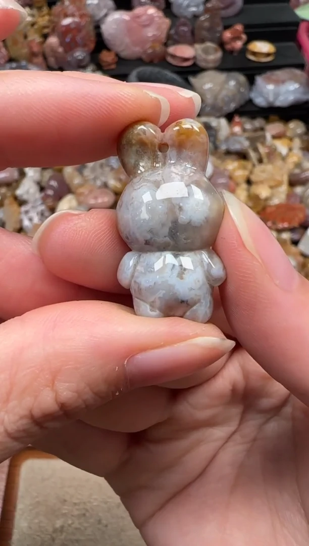 颈饰未镶嵌硅化珊瑚（珊瑚玉）788