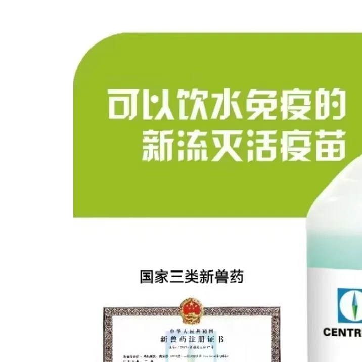 鸽子新城疫饮水苗赛鸽肉鸽转用