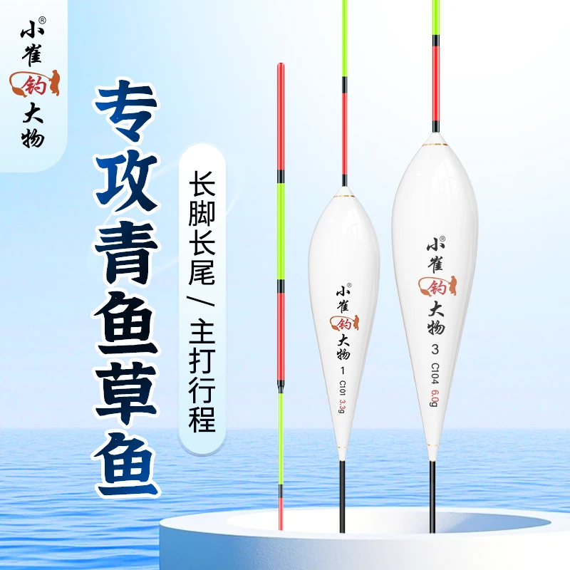 小崔钓大物珠珠大物行程漂