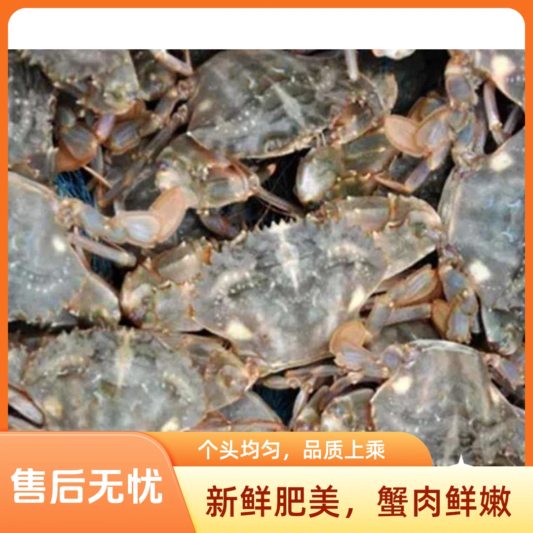 花盖蟹一斤10只左右，多给半斤螃蟹保鲜不保活各别断腿