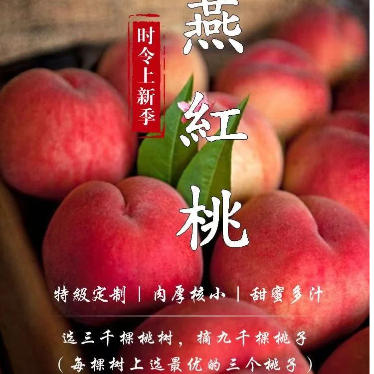丹东宽甸河口艳红桃-大果6枚礼盒装