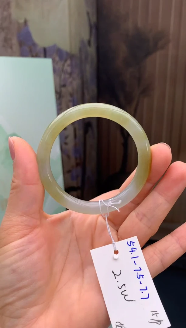 未镶嵌手镯翡翠24