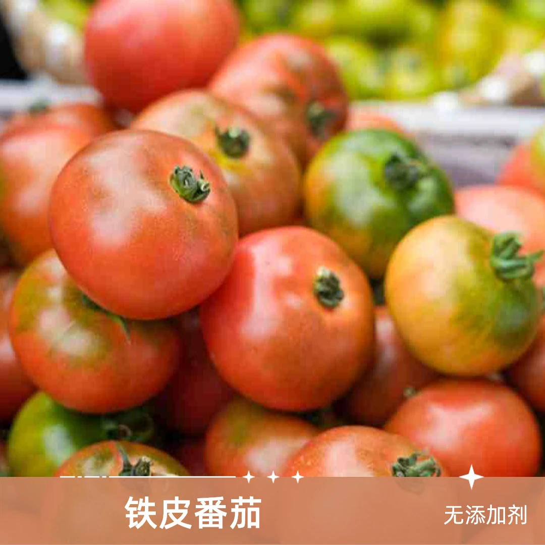 【甄营果蔬】（5斤小果）铁皮番茄 铁皮西红柿