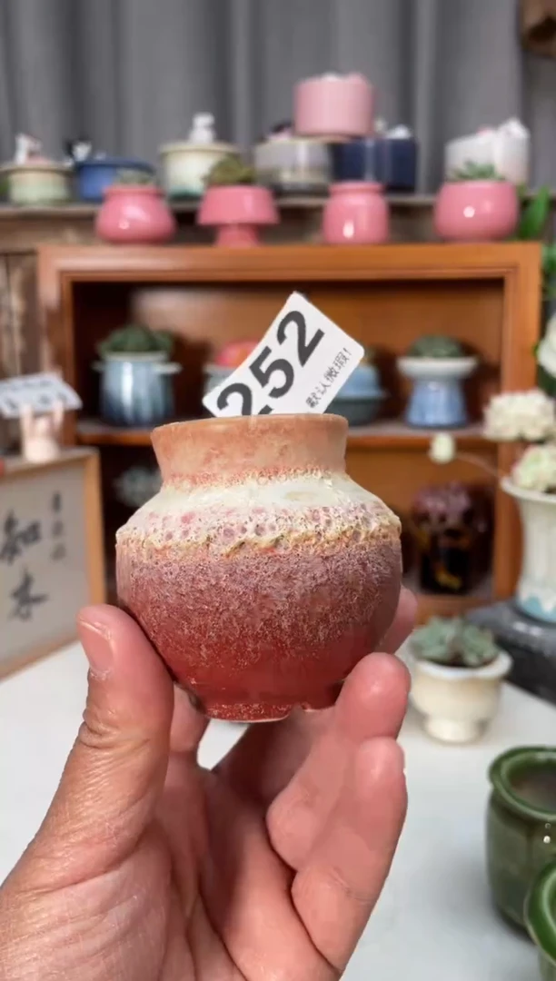 瓷片252小芳花盆直播编号