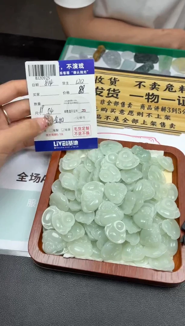 翡翠未镶嵌颈饰BJ20974多样性发一