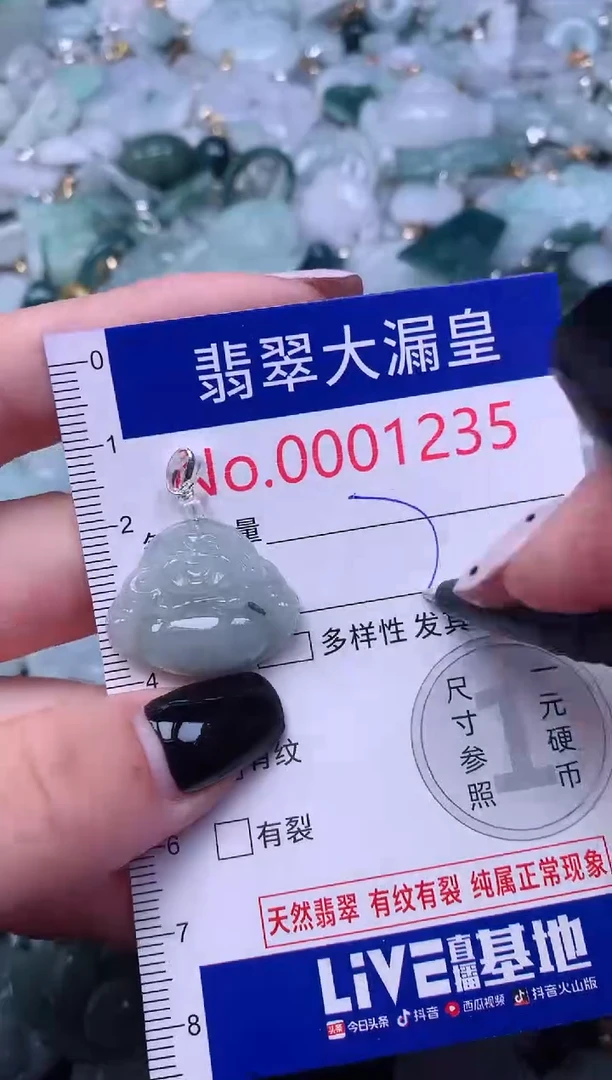 颈饰未镶嵌翡翠1235