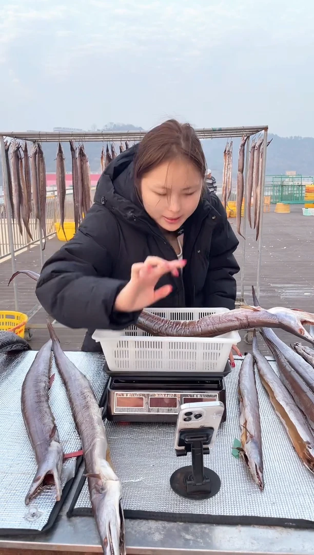 中国大陆2.4斤风鳗1条