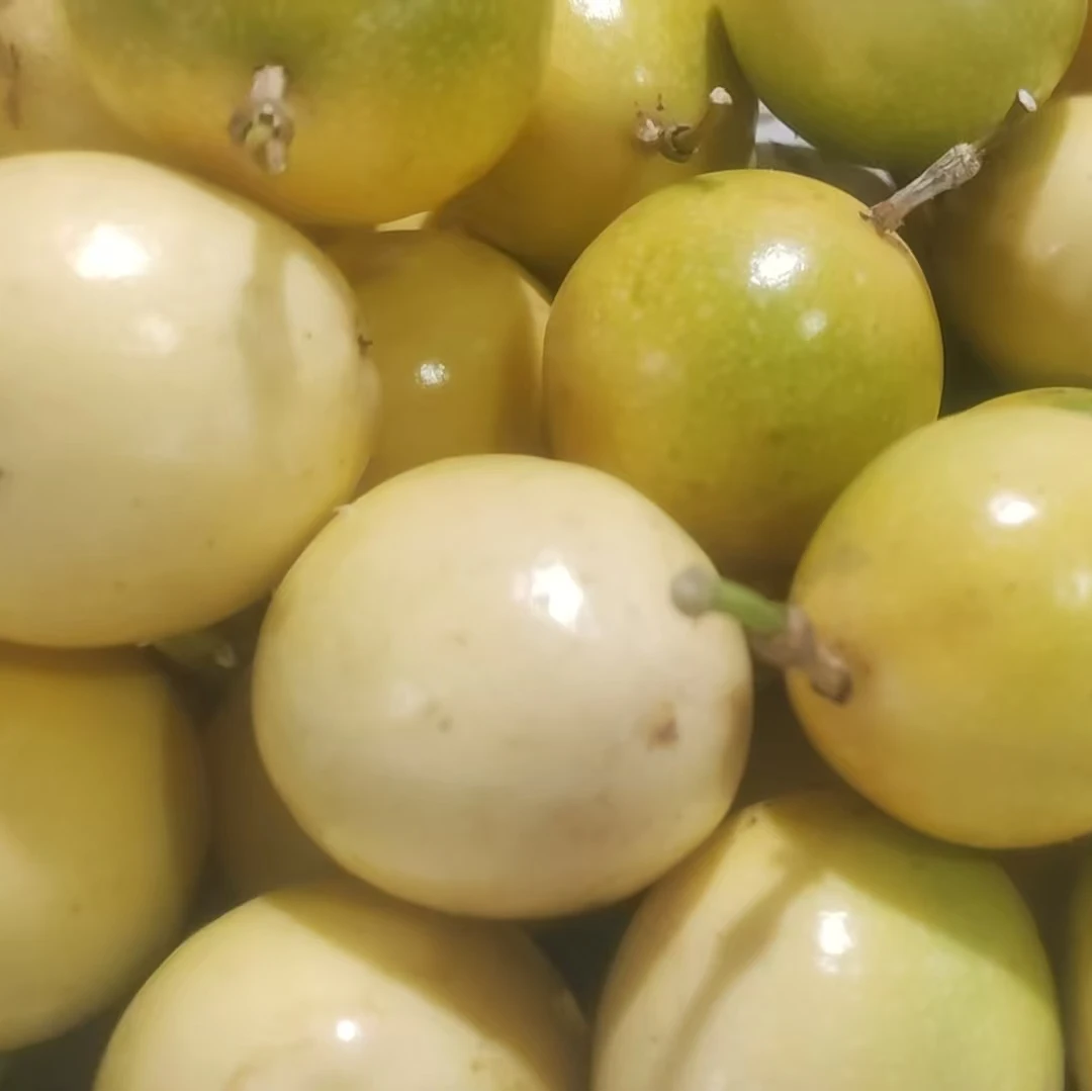 【精品】新鲜桂香蜜黄金果