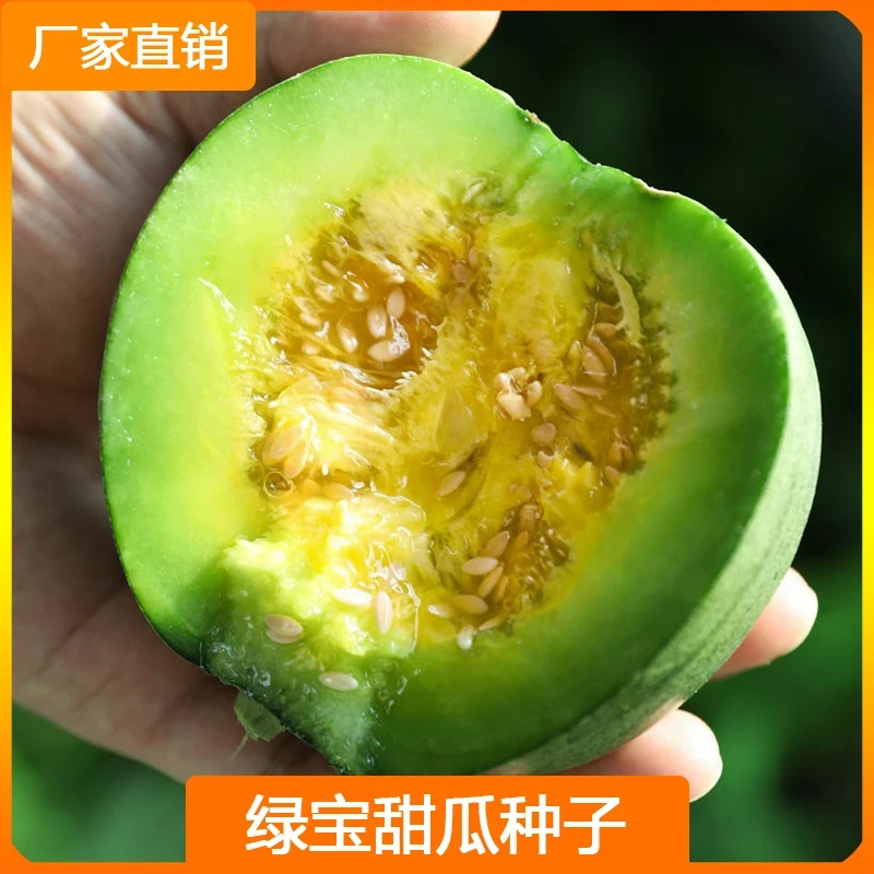 【冰糖绿宝甜瓜】种子皮薄甜脆抗裂播种家庭种植小院阳台种