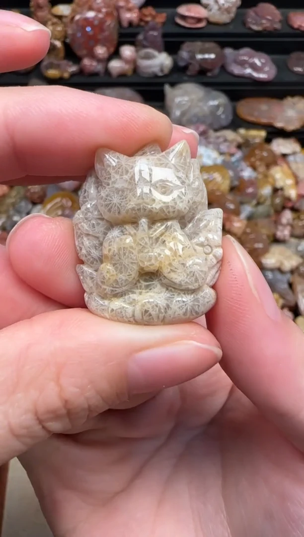 颈饰未镶嵌硅化珊瑚（珊瑚玉）698