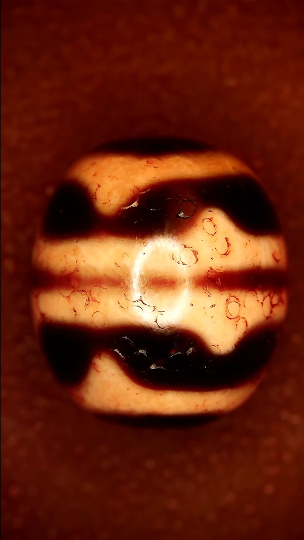 未镶嵌玛瑙/玉髓珠宝半成品上肯双牙达洛天珠12*14