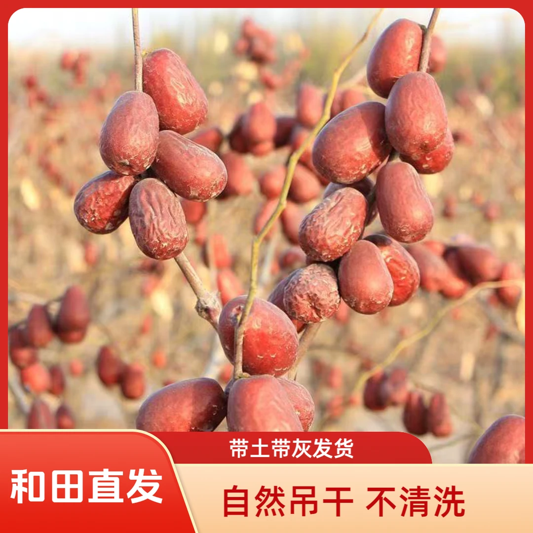 【新疆和田大枣】和田直发自然吊干原生态不清洗骏枣