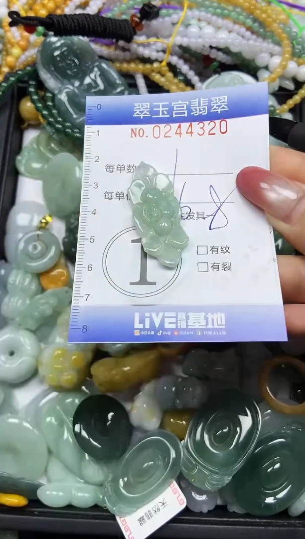 颈饰未镶嵌翡翠闪购C0244320