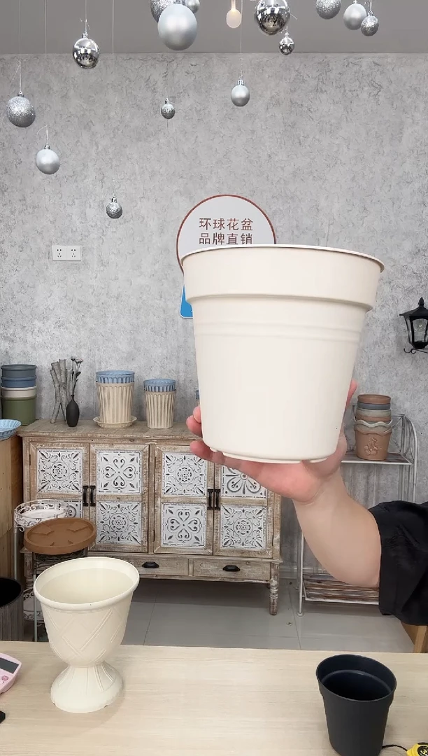 霍伦260绿色白色混色10只装