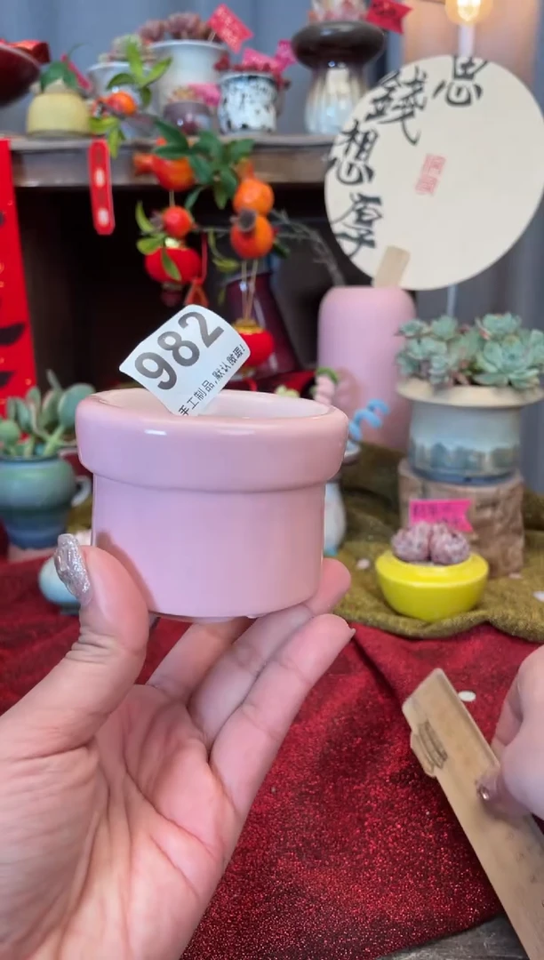 【闪购商品】摆件982知木小芳花盆编号