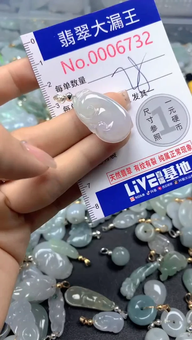 颈饰未镶嵌翡翠6732