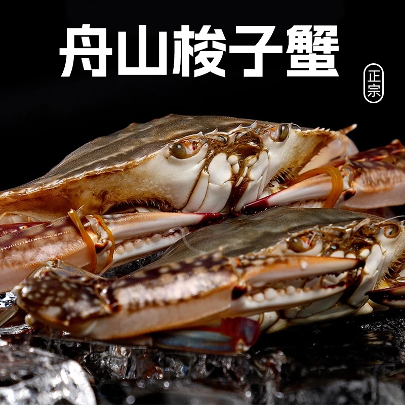 【保鲜不保活】舟山冰鲜梭子蟹4-6两/只 3斤/5斤 顺丰发货